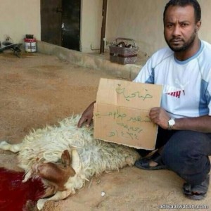 بالصور… «مواطنُ سعودي » يذبح أضحية لـ الرئيس الراحل صدام حسين