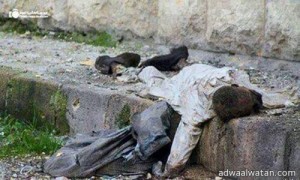 صورة مؤلمة لطفل سوري يموت جوعآ على الرصيف