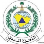 ضبط مقيم عربي في الكويت بحوزته كيلو حشيش وعدد 4000 حبة ترامادول