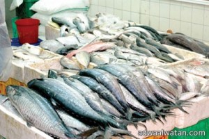 سعوديون يطلقون حملة لمقاطعة أسواق السمك بالمملكة لإجبار التجار على خفض الأسعار