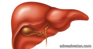 التوصل لعقار جديد يضاف لـ”سوفوسبوفير” لعلاج تليف الكبد بنسبة