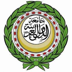 الجامعة العربية تعلن المشاركة في مراقبة انتخابات مجلس النواب المصري القادمة