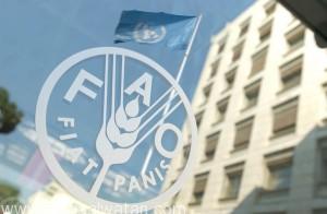 الحكومة المصرية توقع اتفاقية لتقليل هدر الغذاء مع “الفاو”