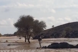 بالفيديو .. مقيم سوداني ينقذ “طفل” بدع بن خلف بعد وفاة شقيقاه