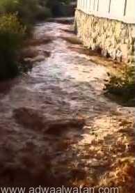 بالفيديو.. هطول أمطار غزيرة على عسير ومحافظاتها