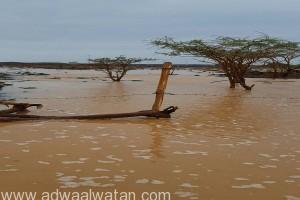بالفيديو والصور .. هطول أمطار غزيرة على قرية الملوي جنوب حائل