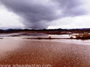 بالصور.. هطول أمطار غزيرة على قرى الرقب ظهر اليوم