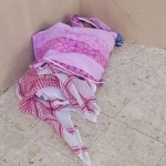 “السند” يندد بالعمل الإرهابي الذي وقع عند أحد مساجد محافظة الأحساء