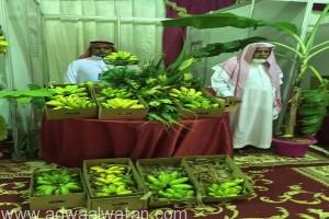 “27” أسرة منتجة تشارك بمهرجان الموز بالمخواة‎