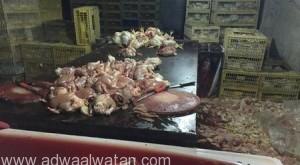 كشف عمالة تسوق الدجاج الفاسد وتزور تاريخ الصلاحية في جدة