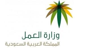“وزارة العمل” توافق على تأسيس جمعية استهلاكية في بني ظبيان بالباحة