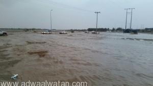 بالفيديو والصور .. هطول أمطار غزيرة مصحوبة بزخات البرد على محافظة الطائف