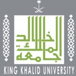 الأمير خالد الفيصل يفتتح مشروع البوابة الجديدة لسوق عكاظ