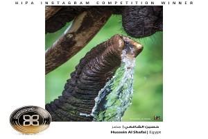 جائزة “حمدان بن محمد” للتصوير تنشر الصور الفائزة بمسابقة “الماء”