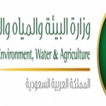 “زراعة الرياض” تصادر أكثر من 145 طناً من الحطب المحلي