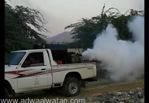 قطاع الملاريا بمحافظة الليث يقوم برش قرية الماء الحار لمكافحة البعوض والحشرات