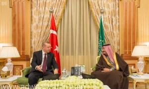 خادم الحرمين الشريفين ورئيس جمهورية تركيا يعقدان جلسة مباحثات رسمية