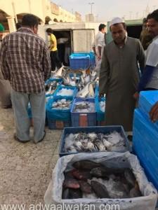 بلدية الشوقية: مصادرة أكثر من “500” كيلو من الأسماك الفاسدة بحراج سوق السمك