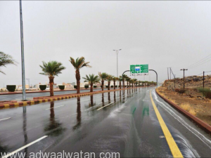 هطول أمطار متوسطة على محافظة الحجرة