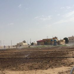 “أمانة تبوك” تبدأ في تطوير الجزء المحاذي لحي المروج من طريق الملك عبدالله