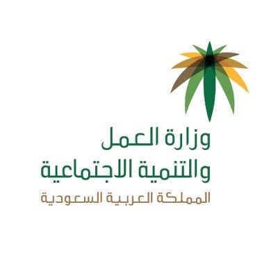 “العمل والتنمية الاجتماعية” ترفع المستوى المهاري لـ “6” آلاف قيادي سعودي في القطاع الخاص حتى 2020