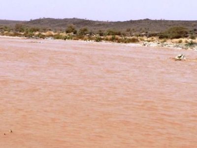 هطول أمطار متوسطة على محافظة رنية وقراها