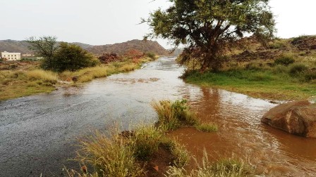 بالفيديو والصور.. هطول أمطار غزيرة على منطقة عسير مساء اليوم