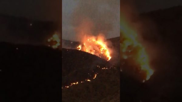 بالفيديو..فرق الدفاع المدني تسيطر على حريق جبل نصب ببني مالك