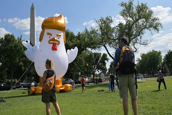 “ترامب الدجاجة” أمام البيت الأبيض
