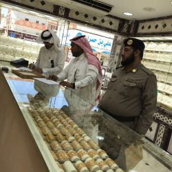 ملتقى سعودي اماراتي لبحث مخرجات خلوة العزم وخطط التحول بين البلدين