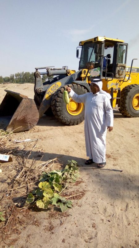 إزالة “4” مزارع تسقى بمياه ملوثة بجنوب “مكة”