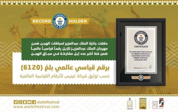 6120 مطية تسجل مهرجان الملك عبدالعزيز للإبل كأكبر سباق للهجن في غينيس