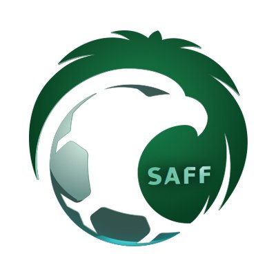 5 قنوات رياضية مملوكة للدولة تنقل الدوري السعودي ابتداءً من الموسم المقبل