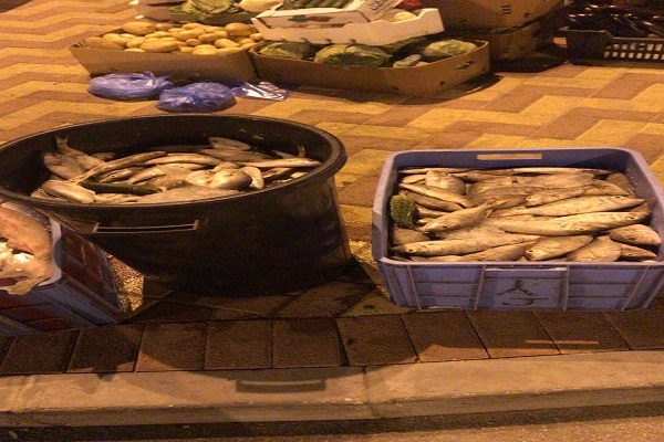 “بلدية الخبر” : ضبط “600” كيلو من الأسماك مجهولة المصدر بحوزة عمالة وافدة