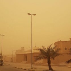 البيئة : تسجيل إصابتين جديدتين بإنفلونزا الطيور في الرياض والخرج