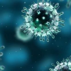 “أبو الغيط” : الإجراء الذي اتخذته المملكة سيساهم في الحد من انتشار فيروس كورونا