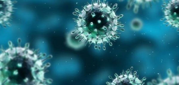 “نيوزيلندا” تؤكد تسجيل أول حالة إصابة بفيروس كورونا