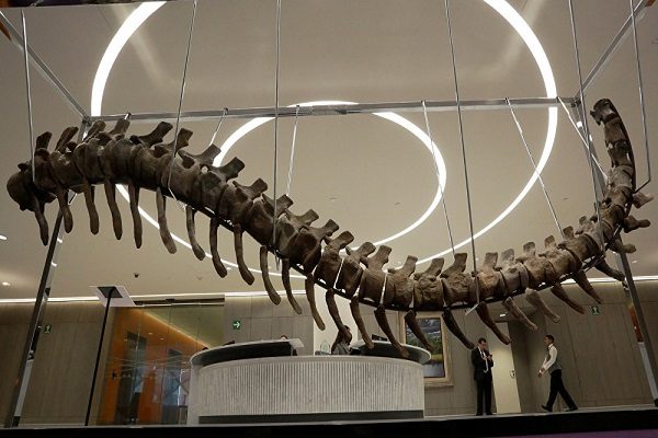 رجل أعمال بريطاني يشتري هيكل ديناصور بأكثر من “2” مليون دولار