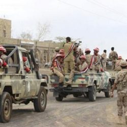 الحكومة اليمنية تدعو إلى إلزام الانقلابيين الحوثيين بتنفيذ اتفاقات مشاورات السلام في السويد