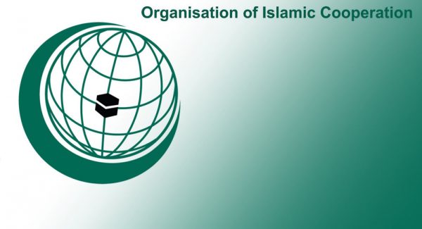 منظمة التعاون الإسلامي تدعو إلى تكثيف الجهود لمنع وتجريم جميع أشكال العنف ضد المرأة