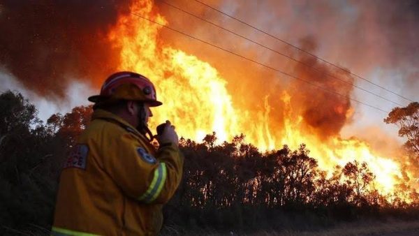 استراليا تحذر سكان ولاية نيو ساوث ويلز من حرائق الغابات