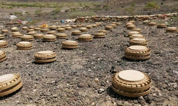 “مسام” ينتزع أكثر من 7 آلاف لغم زرعتها الميليشيات الحوثية