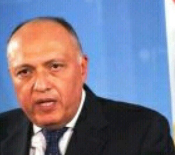 مصر تكشف حقيقة تصريحات وزير خارجيتها بشأن عودة سوريا للجامعة العربية