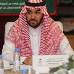 الإمارات ترفض التدخل العراقي في شؤون البحرين