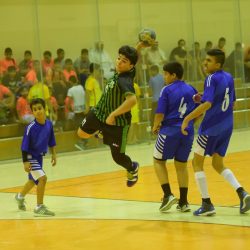 الاتحاد السعودي لكرة اليد يقرر تأجيل موعد ورشة العمل مع الأندية والمهتمين باللعبة