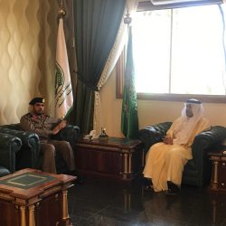 محافظ الطائف يلتقي مدير عام فرع وزارة النقل بمنطقة مكة المكرمة