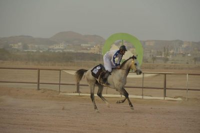 انطلاق سباق السرعة للخيل العربية الأصيلة على كأس محافظة العقيق غداً