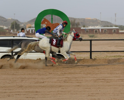جامعة الباحة تنظم سباقاً للخيل العربية الأصيلة بمحافظة العقيق
