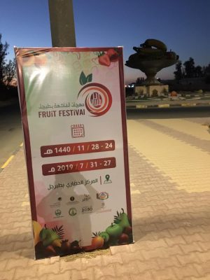 طبرجل تستعد لافتتاح مهرجان الفاكهة