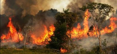 رئيس البرازيل يأمر بنشر الجيش لمكافحة حرائق غابات الأمازون